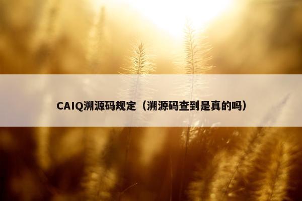 CAIQ溯源码规定（溯源码查到是真的吗）