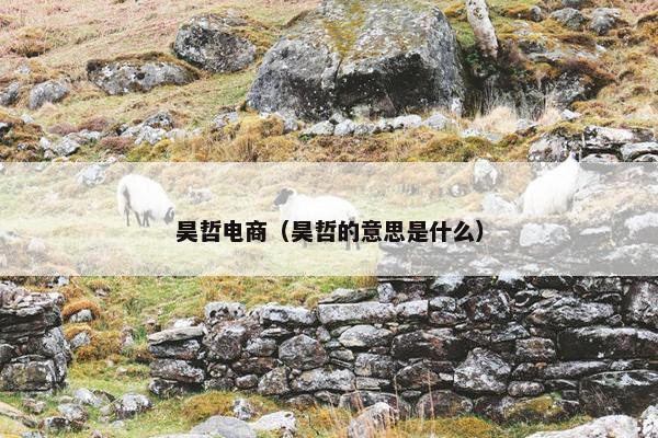 昊哲电商（昊哲的意思是什么）