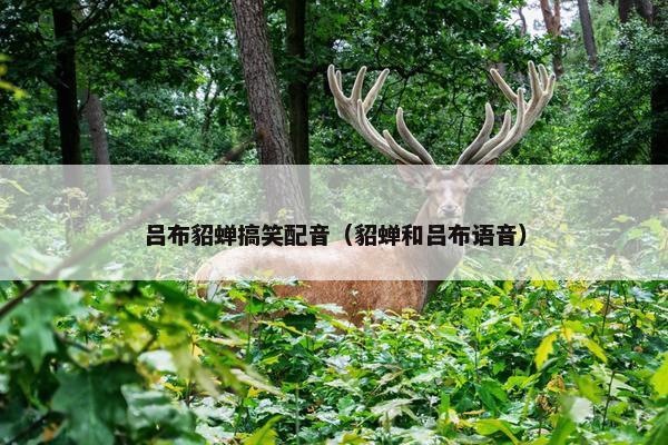 吕布貂蝉搞笑配音（貂蝉和吕布语音）