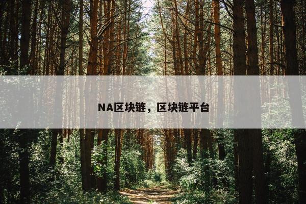 NA区块链，区块链平台