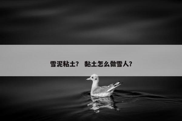 雪泥粘土？ 黏土怎么做雪人？