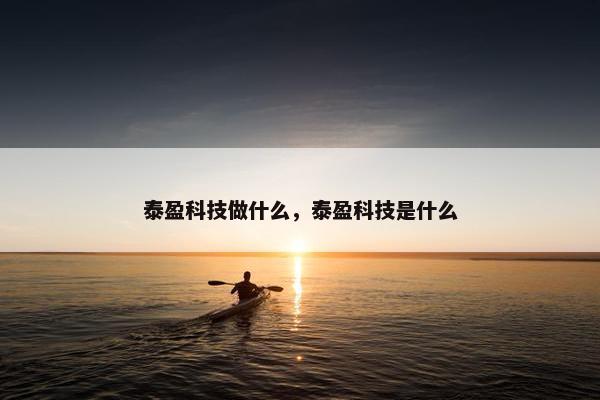 泰盈科技做什么，泰盈科技是什么