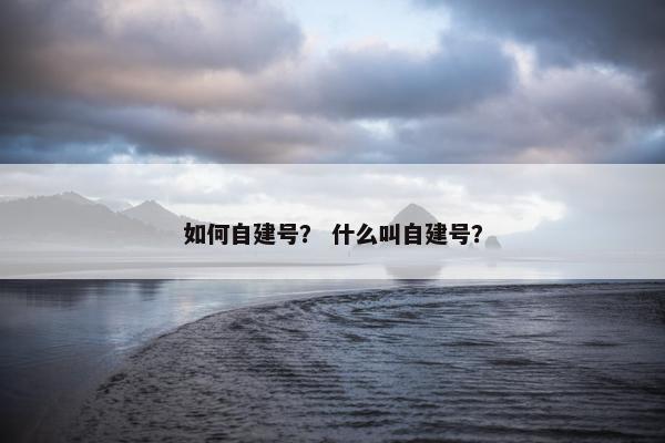 如何自建号？ 什么叫自建号？