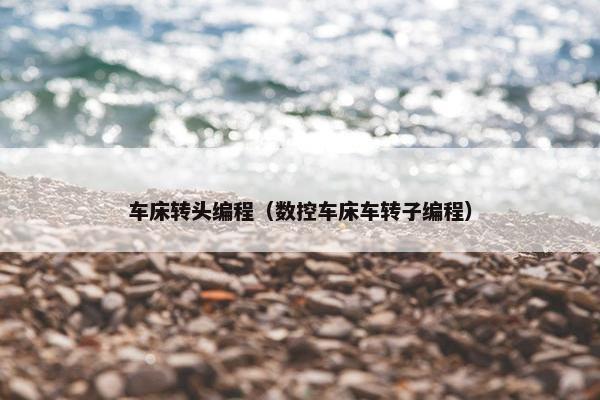 车床转头编程（数控车床车转子编程）