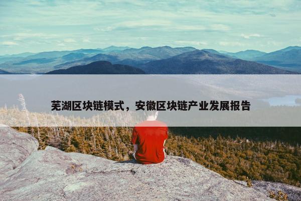 芜湖区块链模式，安徽区块链产业发展报告