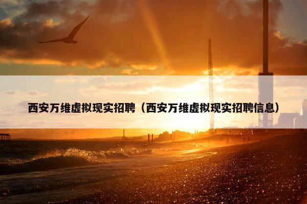 西安万维虚拟现实招聘（西安万维虚拟现实招聘信息）