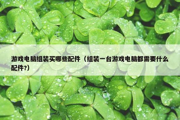 游戏电脑组装买哪些配件（组装一台游戏电脑都需要什么配件?）
