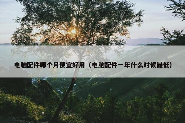 电脑配件哪个月便宜好用（电脑配件一年什么时候最低）