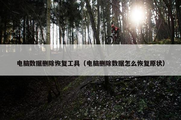 电脑数据删除恢复工具（电脑删除数据怎么恢复原状）
