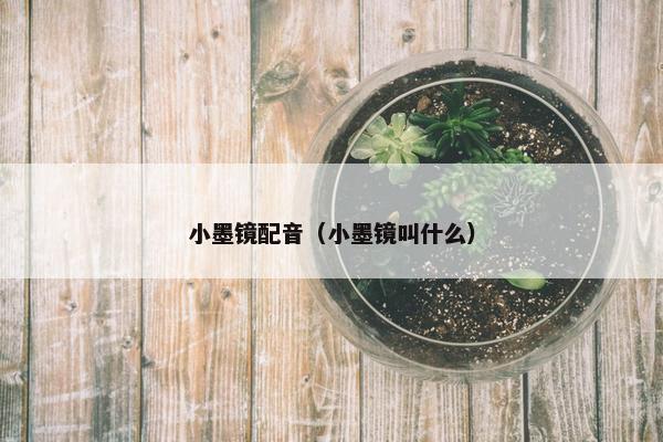 小墨镜配音（小墨镜叫什么）