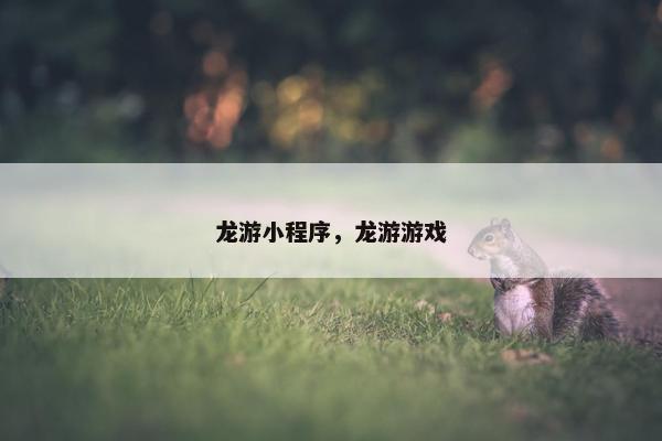 龙游小程序，龙游游戏