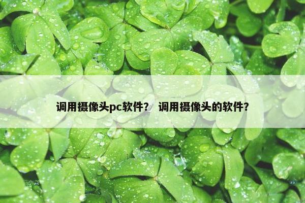 调用摄像头pc软件？ 调用摄像头的软件？
