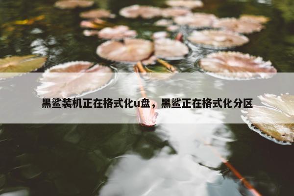 黑鲨装机正在格式化u盘，黑鲨正在格式化分区