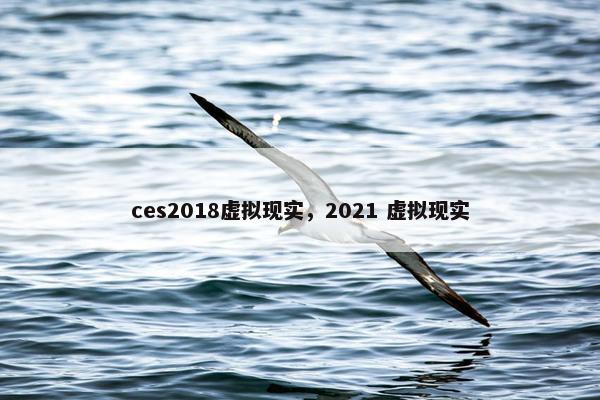ces2018虚拟现实，2021 虚拟现实