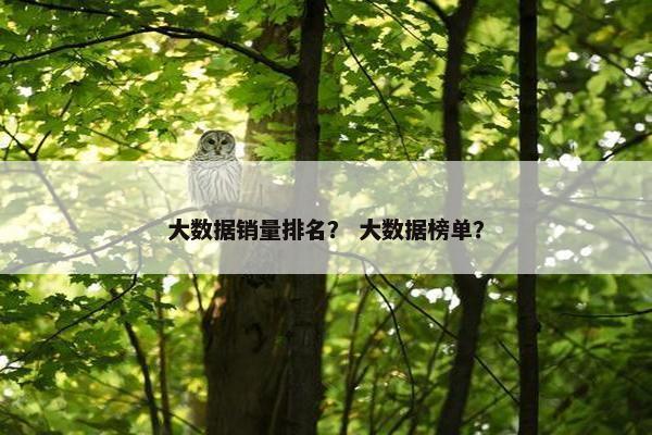 大数据销量排名？ 大数据榜单？
