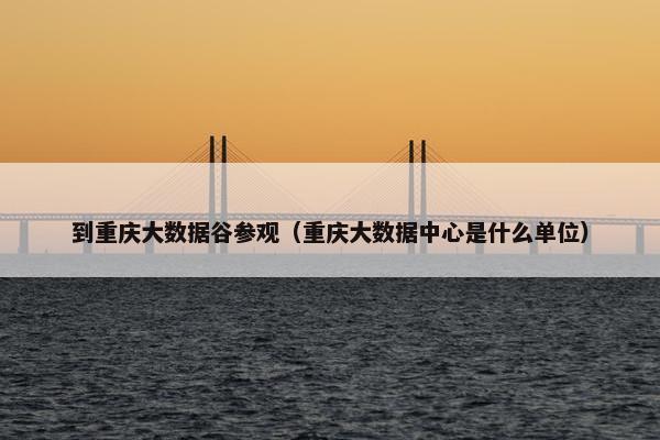 到重庆大数据谷参观（重庆大数据中心是什么单位）