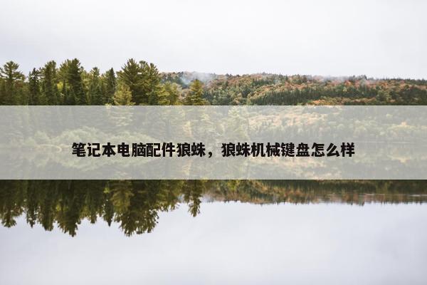 笔记本电脑配件狼蛛，狼蛛机械键盘怎么样