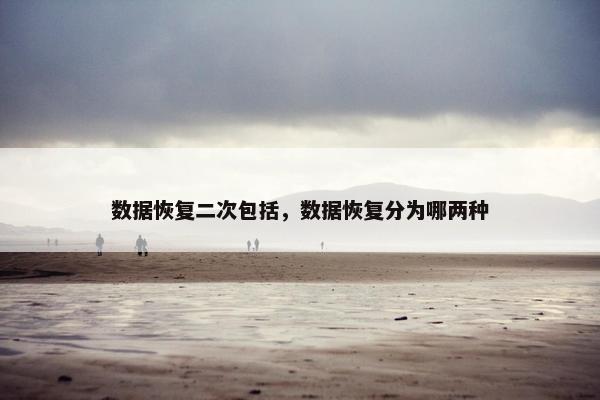 数据恢复二次包括，数据恢复分为哪两种