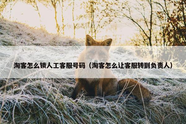 淘客怎么锁人工客服号码（淘客怎么让客服转到负责人）