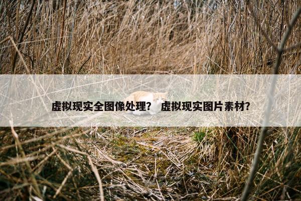 虚拟现实全图像处理？ 虚拟现实图片素材？