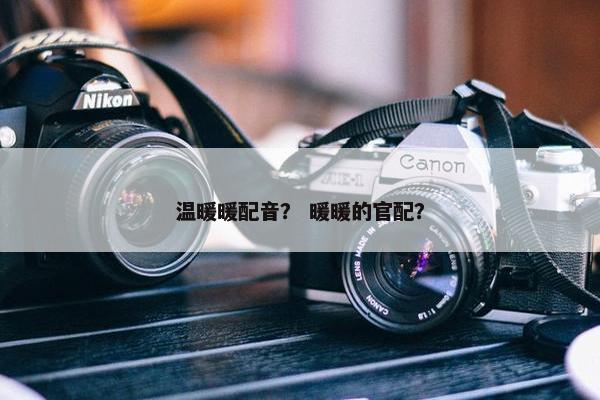 温暖暖配音？ 暖暖的官配？
