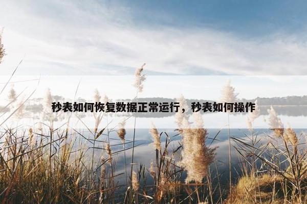 秒表如何恢复数据正常运行，秒表如何操作