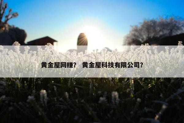 黄金屋网赚？ 黄金屋科技有限公司？