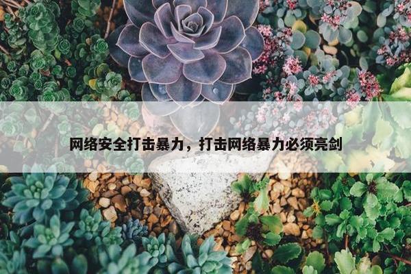 网络安全打击暴力，打击网络暴力必须亮剑