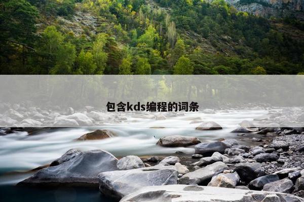 包含kds编程的词条