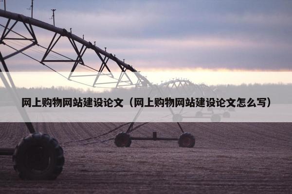 网上购物网站建设论文（网上购物网站建设论文怎么写）