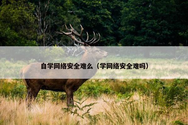 自学网络安全难么（学网络安全难吗）