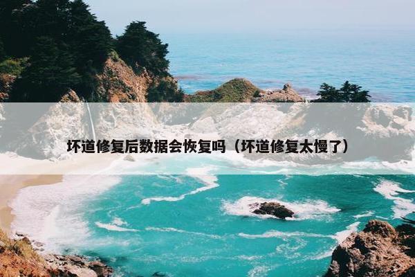 坏道修复后数据会恢复吗（坏道修复太慢了）
