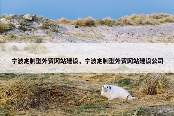 宁波定制型外贸网站建设，宁波定制型外贸网站建设公司