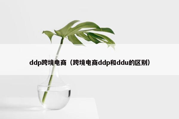 ddp跨境电商（跨境电商ddp和ddu的区别）