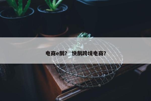 电商e鹅？ 快鹅跨境电商？