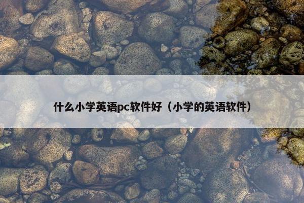 什么小学英语pc软件好（小学的英语软件）