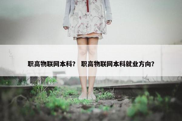 职高物联网本科？ 职高物联网本科就业方向？