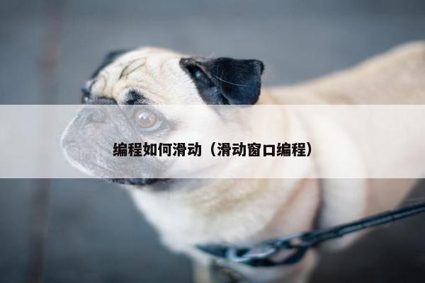 编程如何滑动（滑动窗口编程）
