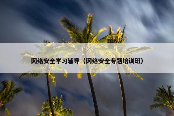 网络安全学习辅导（网络安全专题培训班）