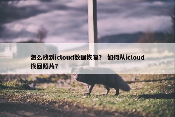 怎么找到icloud数据恢复？ 如何从icloud找回照片？