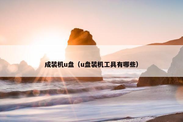 成装机u盘（u盘装机工具有哪些）