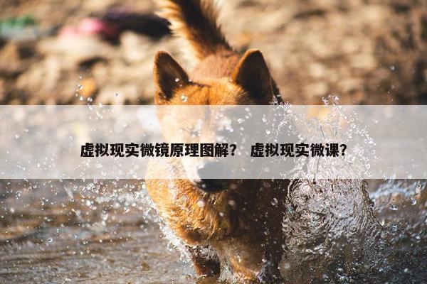 虚拟现实微镜原理图解？ 虚拟现实微课？