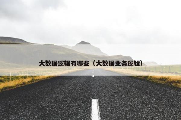 大数据逻辑有哪些（大数据业务逻辑）