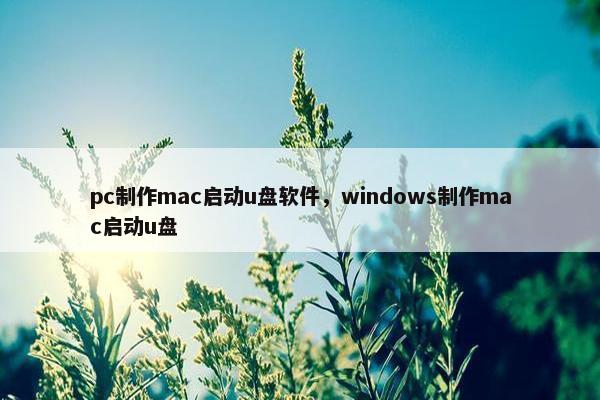 pc制作mac启动u盘软件，windows制作mac启动u盘