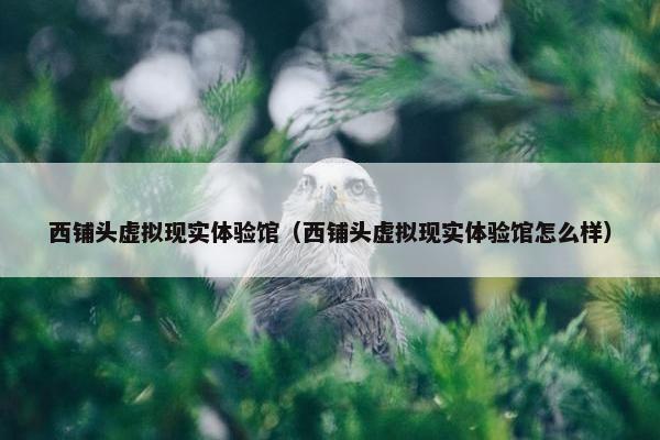 西铺头虚拟现实体验馆（西铺头虚拟现实体验馆怎么样）