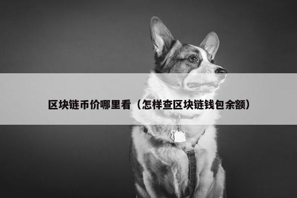 区块链币价哪里看（怎样查区块链钱包余额）