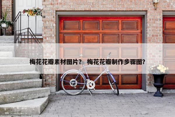 梅花花瓣素材图片？ 梅花花瓣制作步骤图？