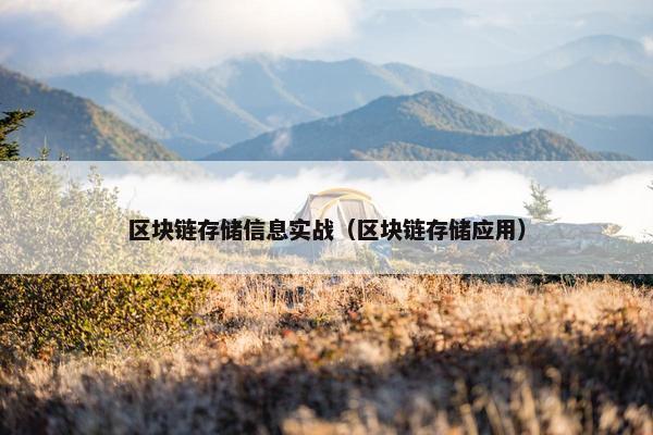 区块链存储信息实战（区块链存储应用）