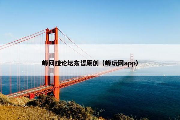 峰网赚论坛东哲原创（峰玩网app）