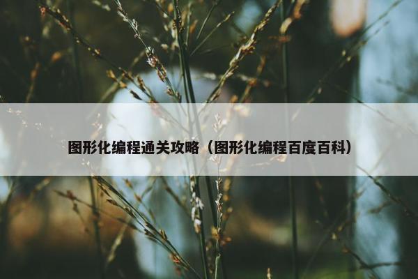 图形化编程通关攻略（图形化编程百度百科）